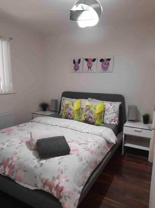Belfast Apartment Kültér fotó